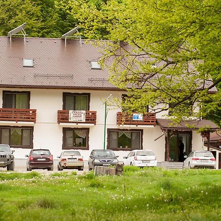 Вілла Cabana Barlogul Lupilor Berevoesti Екстер'єр фото