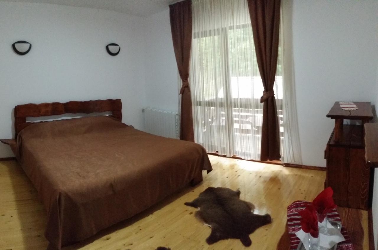 Вілла Cabana Barlogul Lupilor Berevoesti Номер фото