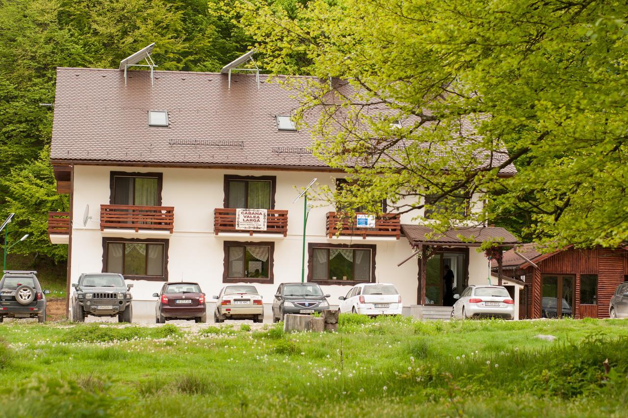Вілла Cabana Barlogul Lupilor Berevoesti Екстер'єр фото